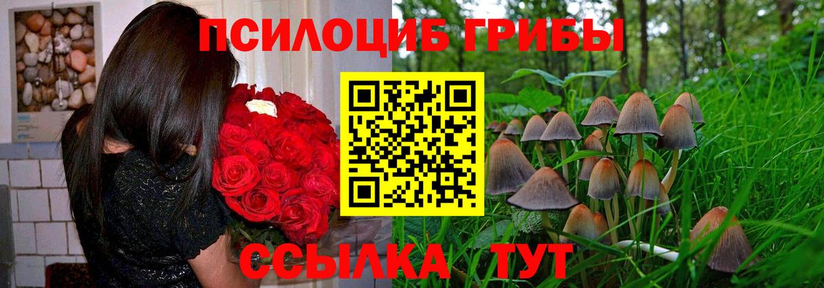 Галлюциногенные грибы Magic Shrooms  Вход с VPN  Уфа 